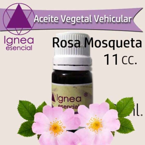 Aceites Vegetales Naturales Puros - Image 7