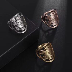Anillo Cubo de Metatron
