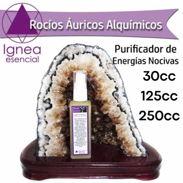 ROCÍO ÁURICO Purificador De Energías Nocivas