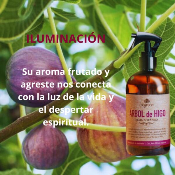 Aromatizantes Alma Botánica - Image 2