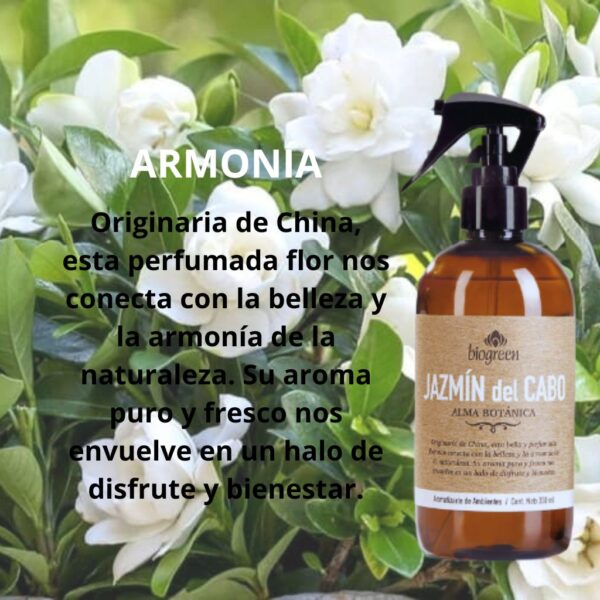 Aromatizantes Alma Botánica - Image 6