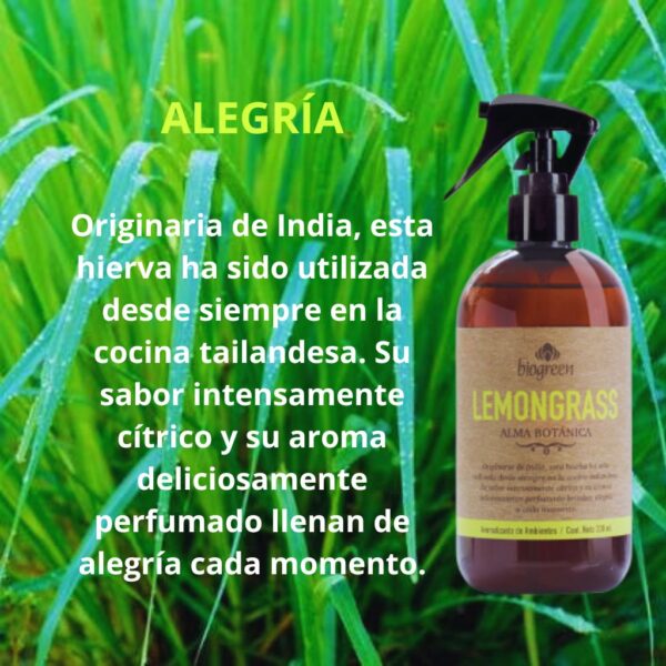 Aromatizantes Alma Botánica - Image 7