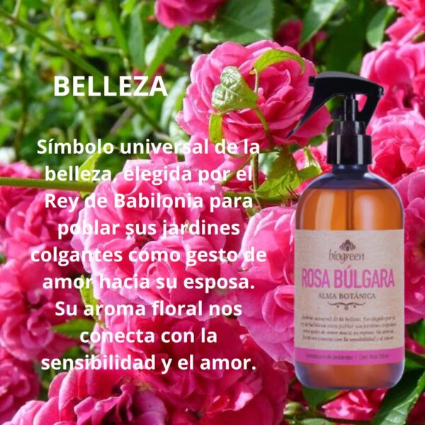 Aromatizantes Alma Botánica - Image 8