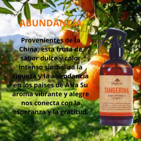 Aromatizantes Alma Botánica - Image 10