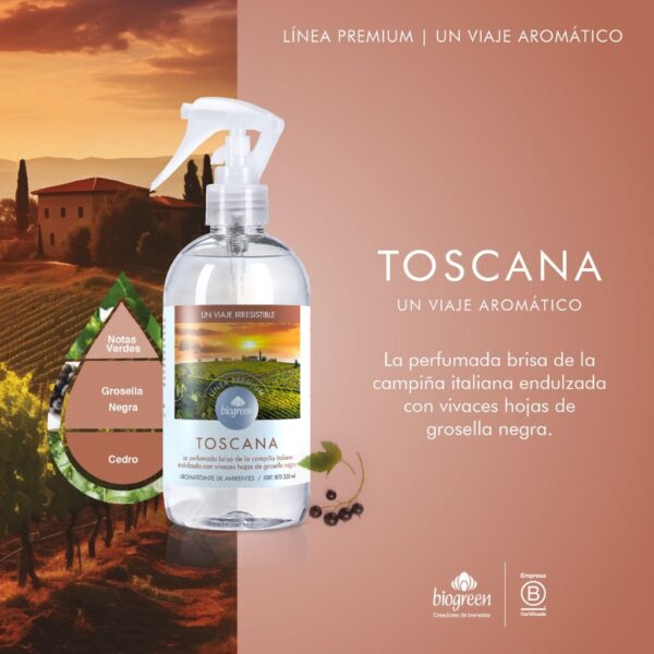 Aromatizantes de Ambientes Premium - Image 9