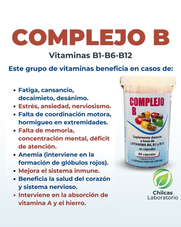 Complejo B - Image 2